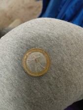 Rare Coin, 1 Euro Coin 2002